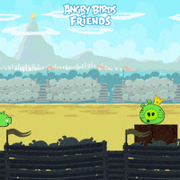 summer olympics GIF by Angry Birds