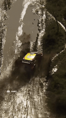 Safari Rally Speed GIF by FIA World Rally Championship