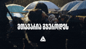 Believe GIF by TBC Bank