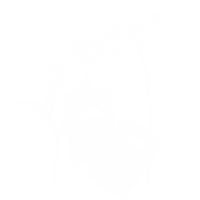Garten Gemuse Sticker by Hauptstadtgarten