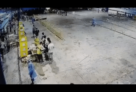 zhangxinzheng giphyupload GIF