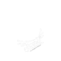 IfABird soul sobs ifabird soul of braunschweig Sticker