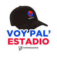 Baseball Republicadominicana Sticker by Television Dominicana