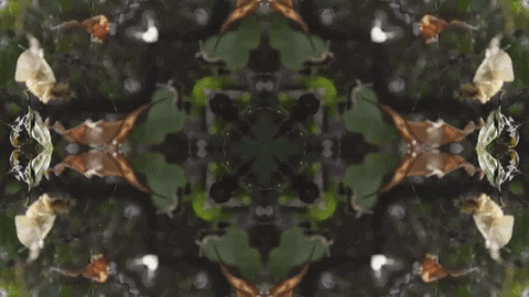 Art Love GIF by jorgemariozuleta