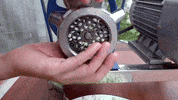 ExperimenMeatGrinder meat underground soap experiment GIF