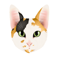Kora The Cat Sticker by zoopeez