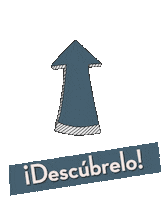 Azul Descubre Sticker by Conforama