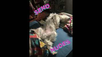 Send Nudes