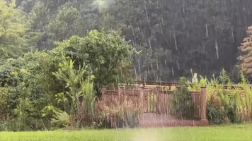 Pouring Rain Dampens Central Arkansas After Dry Spell
