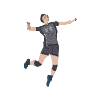 chengchengzz 排球 台電 台電男排 Sticker