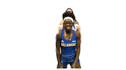 College Sports Ncaa Sticker by Delaware Blue Hens