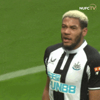 Newcastle United Sport GIF by Newcastle United Football Club
