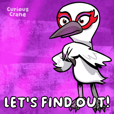 See Find Out GIF by VeeFriends