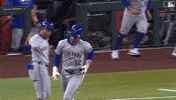 Home Run Celebration GIF by New York Mets