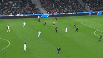 Dimitri Payet Goal GIF by Olympique de Marseille
