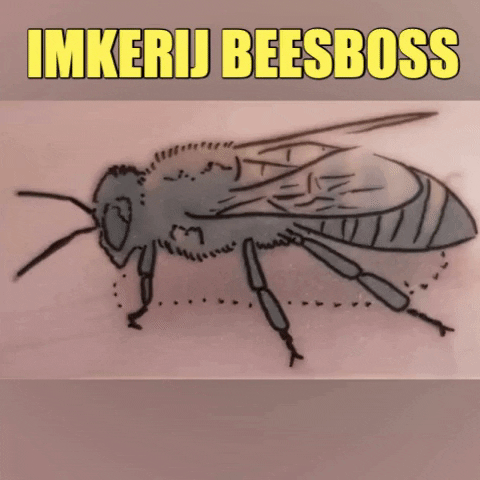 imkerijBeesboss giphygifmaker bij beekeeping beesboss GIF