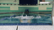 Wethebeach Virginiawesleyan GIF by VWU Marlins