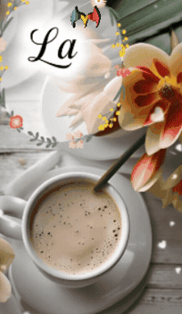 La Vida Amigos GIF by Murcianys LLC