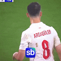 Millitakim GIF by Sporbulteni