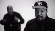 aint got no haters GIF by Ice Cube