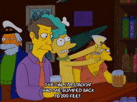 episode 14 principle skinner GIF