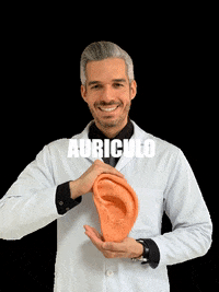 ivoarruda  GIF
