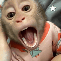 Mood Mono GIF