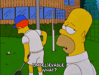 homer simpson GIF