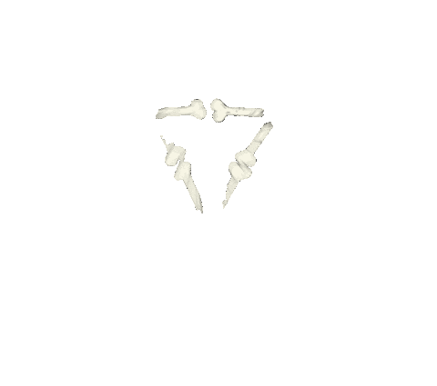 logo bones Sticker by Peter Bjorn and John