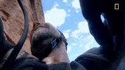Joel Mchale GIF by National Geographic Channel