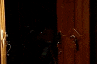 bay luu wa GIF