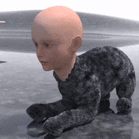 Dog Wtf GIF by Cool 3D World