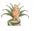 encantadora mermaid mezcal siren sirena Sticker