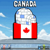 World Cup Football GIF by Pudgy Penguins