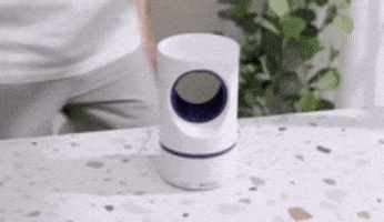 borisbubanja giphyupload GIF