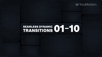 Seamless Dynamic Transitions 01 10