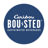 Peach Coffee Run Sticker by Caribou Coffee