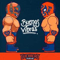 Lucha Libre Wwe GIF by Guerrero Maya