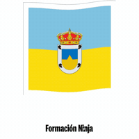 Castilla Y Leon Flag GIF by Formación Ninja