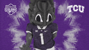 College Sports Dancing GIF by College Colors Day