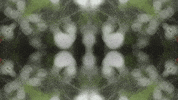 Art Love GIF by jorgemariozuleta