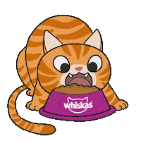 Cat Racao Sticker by Whiskas Brasil