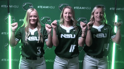 Softball GIF by RiverHawk Sports