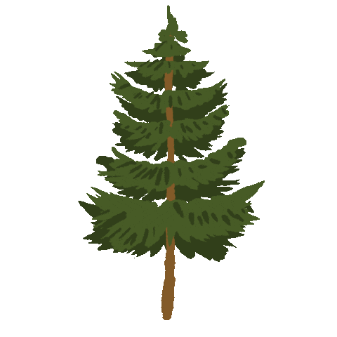 Camping Christmas Tree Sticker by megan lockhart