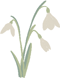 Illustration Flower Sticker