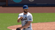 Baseball Mlb GIF by New York Mets
