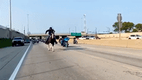 'Cowboy' Rides Down Chicago Expressway in Support of Local Youth