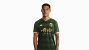 Portland Timbers GIF by Timbers