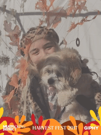 meatpackingdistrict harvestfestny GIF