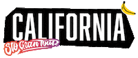 Usa California Sticker by Sto Gran Tour